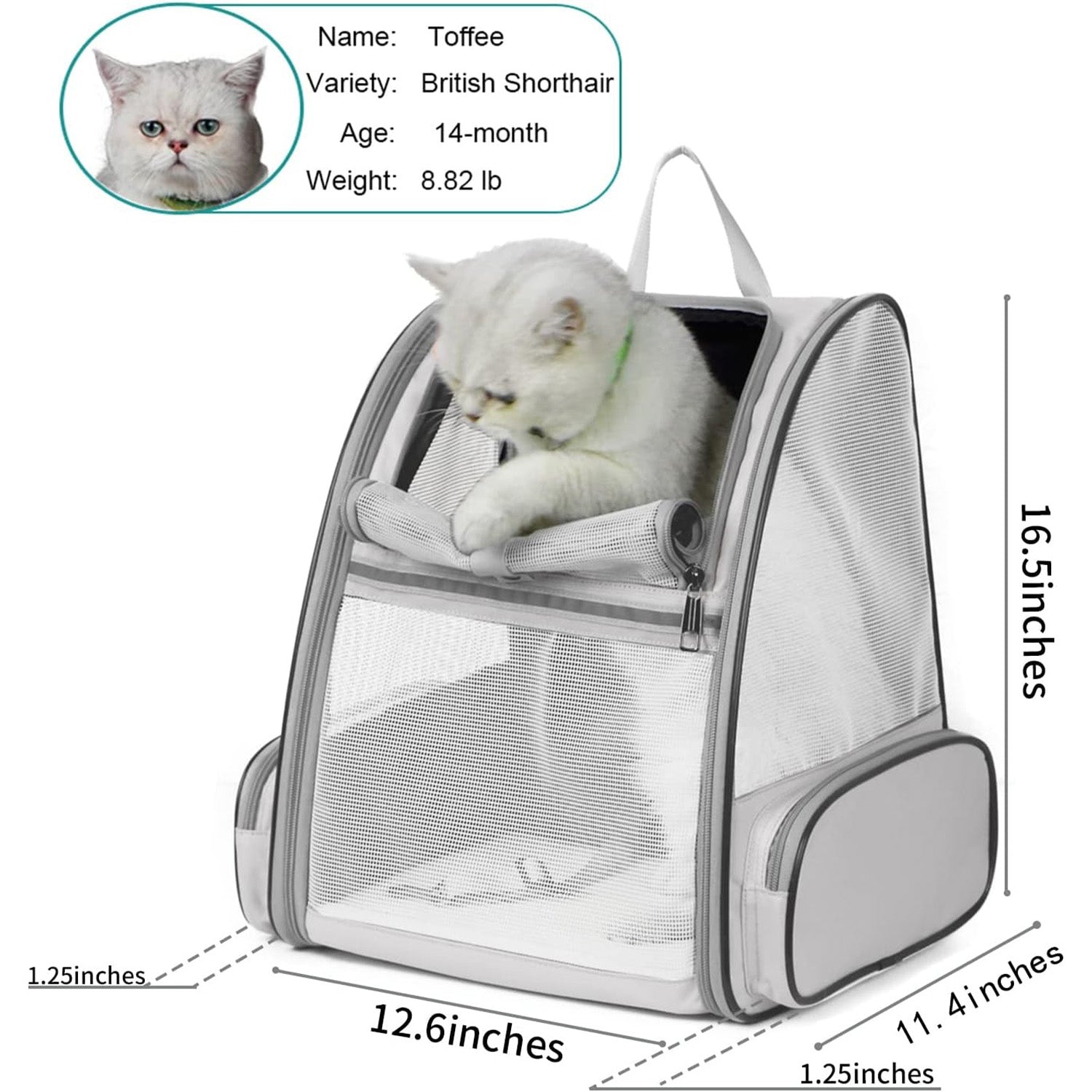 🔥 **#1 Bubble Pet Backpack!** Traveler-Designed Carrier⚡360° Airflow Windows🐾Comfy for Cats/Dogs【TikTok's Pet Travel Obsession】
