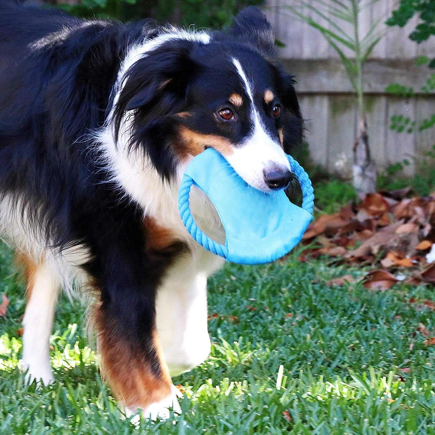 🔥 Indestructible Dog Rope Toys! Heavy-Duty Cotton Ropes⚡For Aggressive Chewers💪【Ultimate Chew Proof】