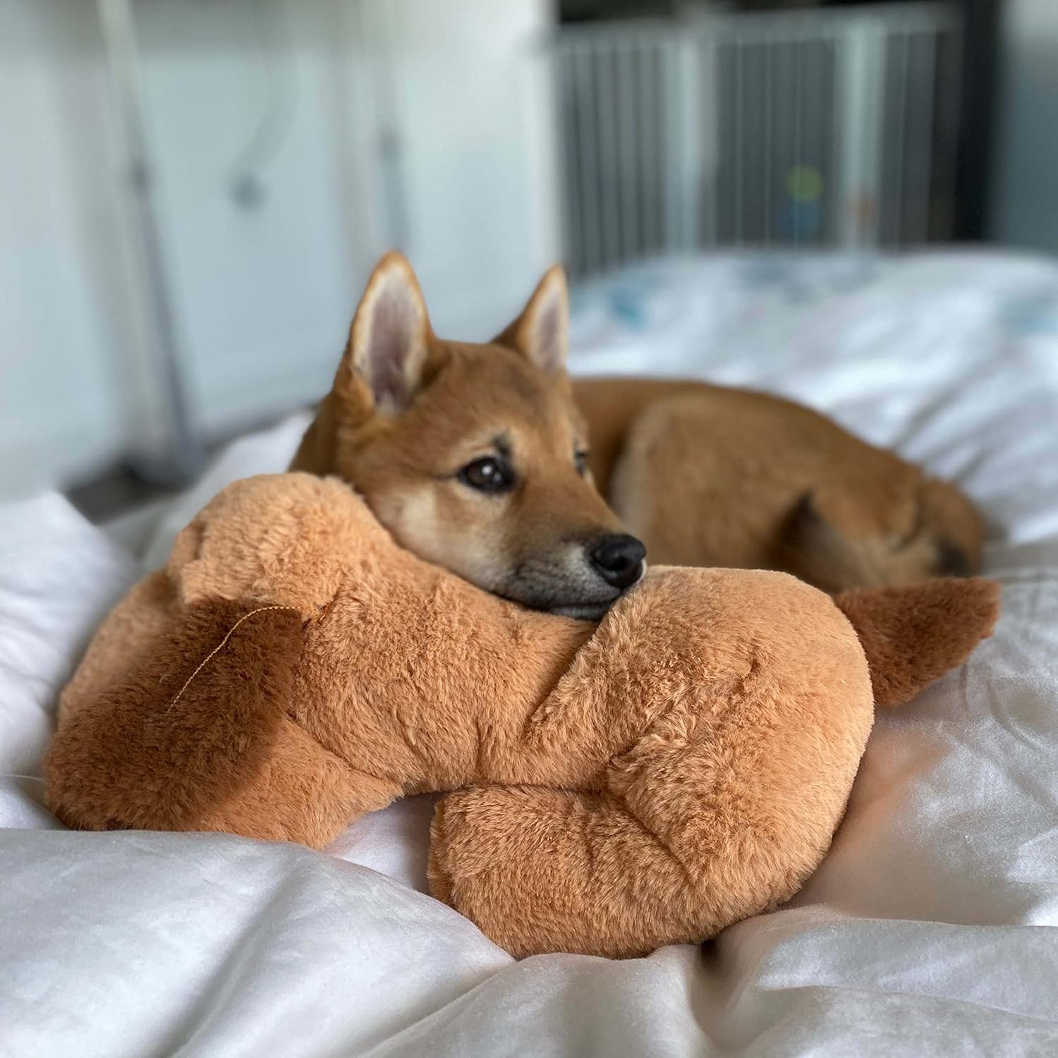 🔥 Heartbeat Anxiety Toy for Dogs! Realistic Biscuit Shape⚡Calming Tech with Behavioral Aid💤Vet-Approved【Top-Rated Pet Comfort】