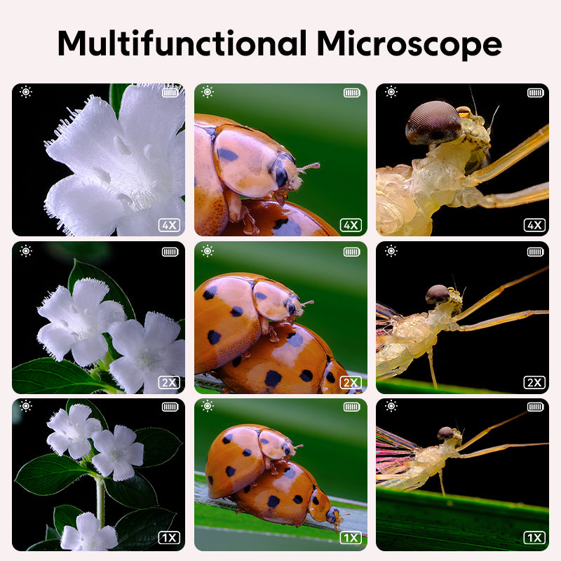 500X Zoom Kids Microscope ✨ 2